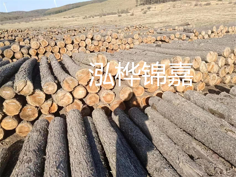 選擇合適的路緣石尺寸，打造美麗道路