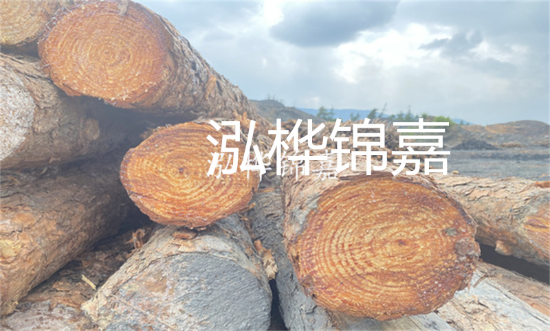 如何在東莞找到最實(shí)惠的松木樁？